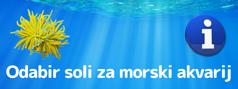 Mikro in makro elementi v morskem akvariju